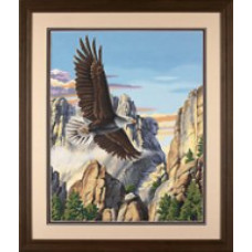 Набор для раскрашивания DIMENSIONS арт.DMS-91301 Парящий орел (акрил) (41x51 см)