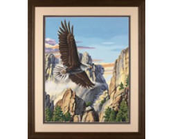 Набор для раскрашивания DIMENSIONS арт.DMS-91301 Парящий орел (акрил) (41x51 см)