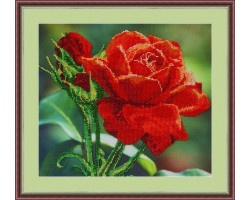 Набор для вышивания бисером GALLA COLLECTION арт.Л312 Красная роза 30х27 см
