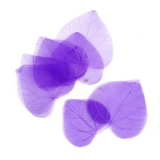 Скелетированные листочки MAGIC HOBBY арт.TBY-LB-02 цв.8 фиолетовый