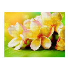 Картины мозаикой Molly арт.EZD007 Частичная Выкладка Цветы Яблони (28 Цветов) 30х40 см