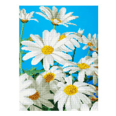 Картины мозаикой Molly арт.EZD046 Частичная Выкладка Ромашки (20 Цветов) 30х40 см