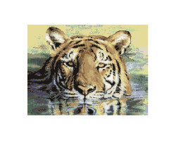 Картины мозаикой Molly арт.GZ137 Плывущий Тигр (23 Цвета) 40х50 см