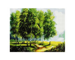 Картины мозаикой Molly арт.GZ622 Березовая рощица (36 Цветов) 40х50 см
