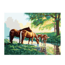 Картины по номерам Molly арт.G154 Лошади На Водопое (24 Краски) 40х50 см