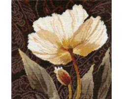 Набор для вышивания арт.Алиса - 217 'Белые цветы. Залитый светом' 25х25 см