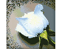 Набор для изготовления картин 'АЛМАЗНАЯ ЖИВОПИСЬ' арт.АЖ.024 'Белая роза' 25х25 см