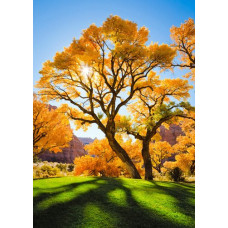 Набор для изготовления картин 'АЛМАЗНАЯ ЖИВОПИСЬ' арт.АЖ.1166 'Осеннее дерево' 40х50 см