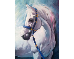 Набор для изготовления картин 'АЛМАЗНАЯ ЖИВОПИСЬ' арт.АЖ.1387 'Грезы белого коня' 30х40 см
