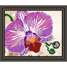 Рисунок на ткани арт. VKA4105 Орхидея 20,5х25 см