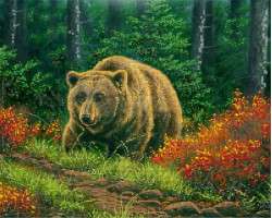 Рисунок на ткани 'Астрея Арт' арт.АСТ.73050 Бурый медведь А3 32х40см