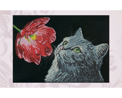 Рисунок на ткани 'Астрея Арт' арт.АСТ.73059 Кошка и мак А3