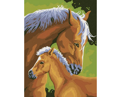 Картины по номерам Белоснежка арт.БЛ.207-CE Лошадь и жеребенок 30х40 см