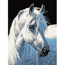 Картины по номерам Белоснежка арт.БЛ.230-CE Белая лошадь 30х40 см