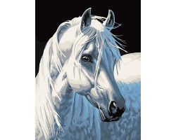 Картины по номерам Белоснежка арт.БЛ.230-CE Белая лошадь 30х40 см