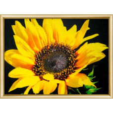 Набор 'ЧМ' арт. КС-161 для изготовления картины со стразами 'Солнечный цветок' 30,3x42 см