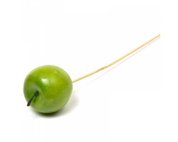 Декор яблоко на вставке арт.Ц7.6616056, цв.зеленый 6х50см
