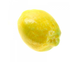 СЛ.235206 Лимон искусственный 10см