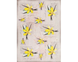 Рисовая карта для декупажа арт.AM400167 'Цветки ванили на рукописном фоне'21х29 см