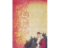 Рисовая бумага для декупажа арт.СР05287 'Дед мороз и птичка' 28,2х38,4см