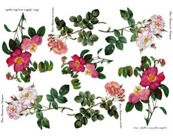 Декупажная карта арт.CH.770 'Розовый сад', формат А4