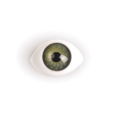 Глаза круглые выпуклые цветные TBY №9 17мм цв. зеленый упак 200шт.