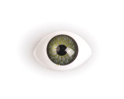Глаза круглые выпуклые цветные TBY №9 17мм цв. зеленый упак 200шт.