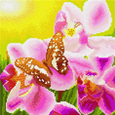 Набор алмазной живописи с подрамником 'Империя бисера' арт.СК-305(П) 'Бабочка и орхидея' 30х30