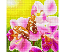Набор алмазной живописи с подрамником 'Империя бисера' арт.СК-305(П) 'Бабочка и орхидея' 30х30