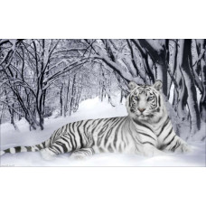 Набор для вышивания бисером 'Империя бисера' арт.ИБ-007 'Белый тигр' 38х60 см