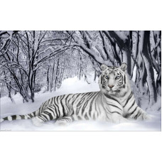 Набор с нанесенным рисунком для вышивания бисером 'Империя бисера' арт.ИБ-07 'Белый тигр' 40х60 см