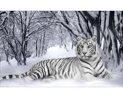 Набор с нанесенным рисунком для вышивания бисером 'Империя бисера' арт.ИБ-07 'Белый тигр' 40х60 см