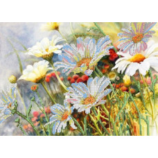 Рисунок на ткани для вышивания бисером 'КАРТИНЫ БИСЕРОМ' арт.S-035 Полевые цветы 36х26 см
