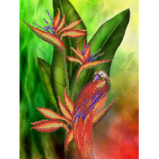 Рисунок на ткани для вышивания бисером 'КАРТИНЫ БИСЕРОМ' арт.S-060 Птица джунглей 25х33 см