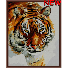Набор 'Колор Кит' картина по номерам арт.КК.CG031 Зимний тигр 40х50