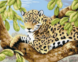 Набор 'Колор Кит' картина по номерам арт.КК.CG504 Леопард на ветвях 40х50
