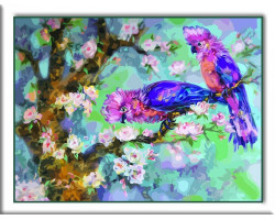 Набор 'Колор Кит' картина по номерам арт.КК.CG612 Райские птицы 40х50