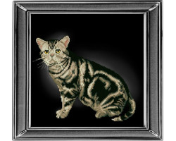 Набор для вышивания мулине 'КРАСА И ТВОРЧЕСТВО' арт.20912 'Американская короткошерстная кошка' 28х28