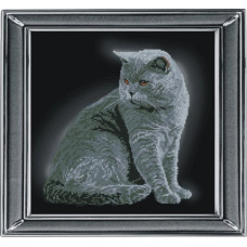 Набор для вышивания мулине 'КРАСА И ТВОРЧЕСТВО' арт.21111 'Британская короткошерстная кошка' 28х28 с