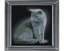 Набор для вышивания мулине 'КРАСА И ТВОРЧЕСТВО' арт.21111 'Британская короткошерстная кошка' 28х28 с