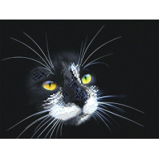 Рисунок на шелке арт.МП-28х34-4102 'Черный кот'