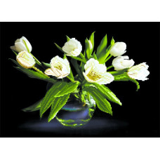 Рисунок на шелке арт.МП-37х49-4077 'Белые тюльпаны'
