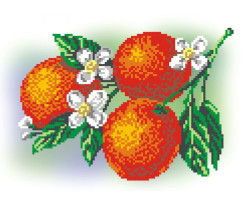 Набор для вышивания МП Студия арт.КН-434 сх.канва+мулине 'Апельсины' 21х30/16х22 см
