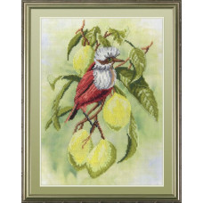 Наборы для вышивания с рисунком на канве 'МП Студия' арт РК-301 'Птичка на ветке лимона' 20х30 см