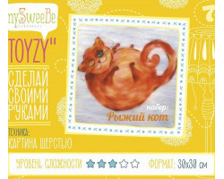 Набор для изготовления картины шерстью Toyzy арт.TZ-P031 'Рыжий кот' А4