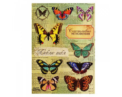СЛ.917811 Наклейки декоративные 'Бабочки' 11х15 см