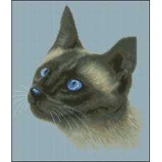 Канва с рисунком 'НОВА СЛОБОДА' арт.ММ2021 'Сиамская кошка DMC' 28х33см