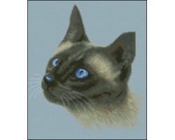 Канва с рисунком 'НОВА СЛОБОДА' арт.ММ2021 'Сиамская кошка DMC' 28х33см