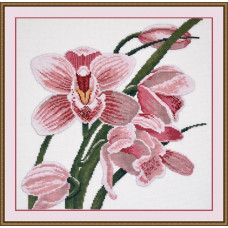 Набор для вышивания арт.Овен - 762 'Зов Орхидеи' 29х30 см