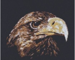 Набор для вышивания 'Палитра' арт.02.003 'Взгляд орла' 26*22 см